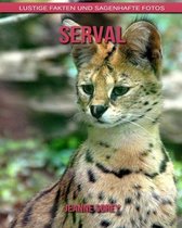 Serval