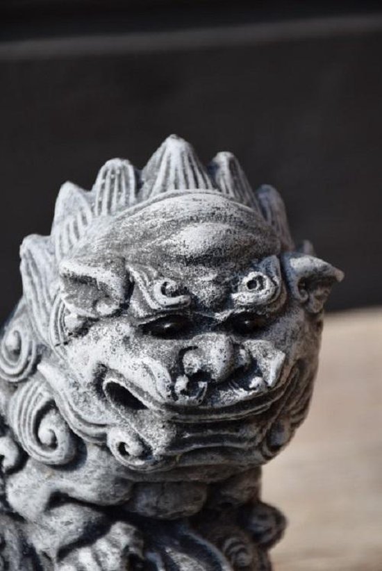 Grijze stenen foo dog tuinbeeld, detail van gezicht met scherpe hoektanden.