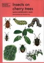 Insects on Cherry Trees