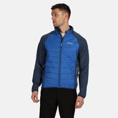 Regatta - Men's Bestla Hybrid Lightweight Insulated Walking Jacket - Jas - Mannen - Maat XL - Blauw