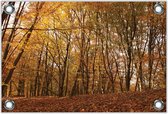 Tuinposter –Herfstige Bomen in het Bos– 120x80 Foto op Tuinposter (wanddecoratie voor buiten en binnen)