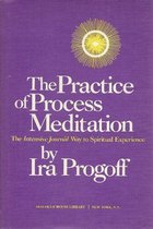 The practice of process meditation