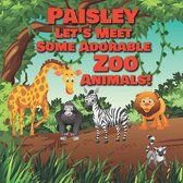 Paisley Let's Meet Some Adorable Zoo Animals!