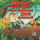 Mateo Let's Meet Some Adorable Zoo Animals!