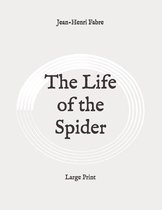 The Life of the Spider