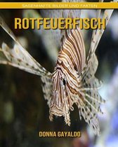 Rotfeuerfisch