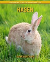 Hasen