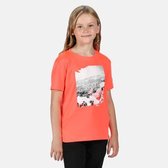 Regatta - Kid's Alvardo V Graphic T-Shirt - Outdoorshirt - Kinderen - Maat 11-12 Jaar - Oranje