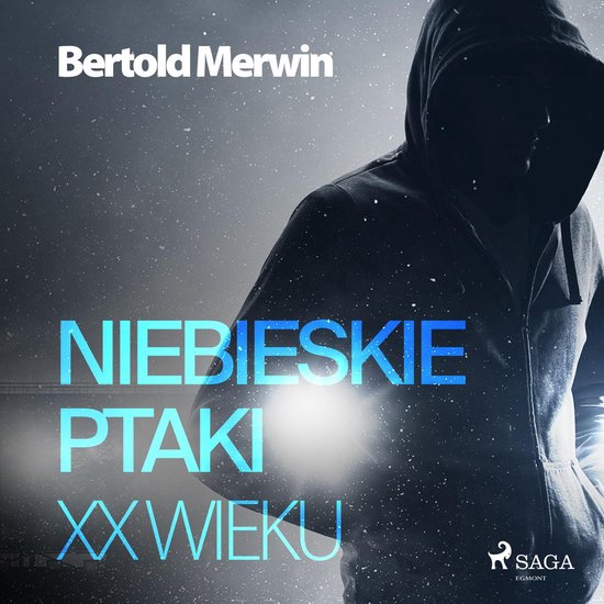 Niebieskie ptaki XX wieku - cover