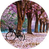 Glasschilderij fotokunst - schilderij - Cherry blossom - Foto print op glas - diameter 80 cm - schilderijen woonkamer slaapkamer - muurdecoratie