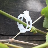 Rankhulp clips- Simpel in Gebruik door 1 persoon- Klimplantgeleider- Klimplant ophangen- klimplant opbinden-Planten opbinden-Plantsteun-25 Stuks
