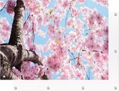 Tuinposter - Cherry blossom - Bloesemboom - 100 x 70 cm | PosterGuru