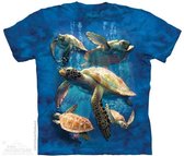 KIDS T-shirt Sea Turtle Family M