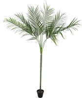 Europalms kunstplant - Areca kunstpalm met groot blad - 180cm