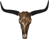 Skull goud - buffelschedel - skull - 63 cm