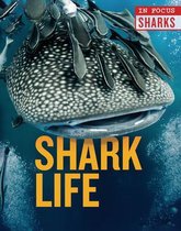 In Focus: Sharks- Shark Life