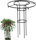 Zwarte metalen plantensteun naast een pot met een klimroos met rode bloemen.