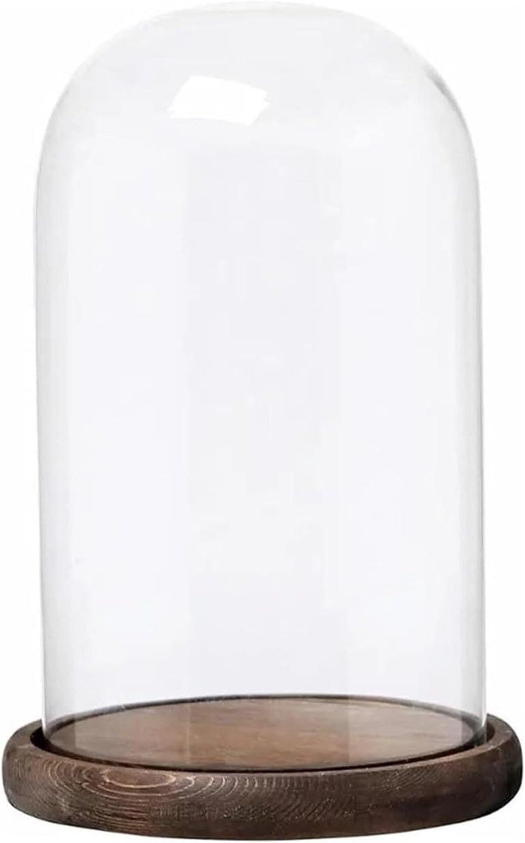 Glazen stolp - Vitrine deksel - Verzamelingen tonen - Met houten basis - 15x25 cm - Transparant