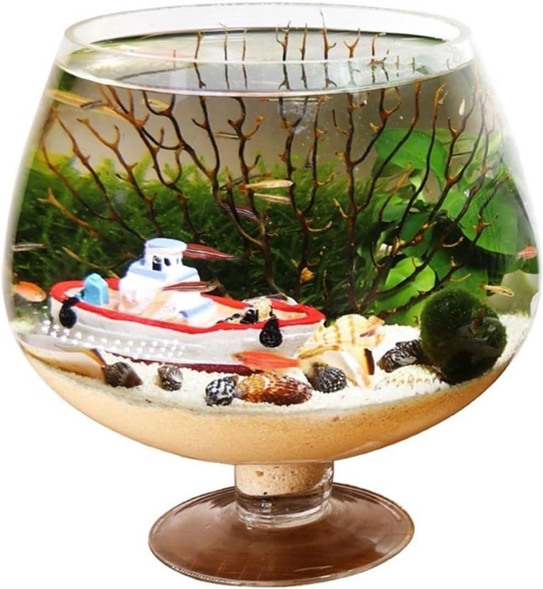 Glazen Aquarium - Kleine Vissenkom - Vis Kweken - Helder Glas - Klein Formaat - Transparant