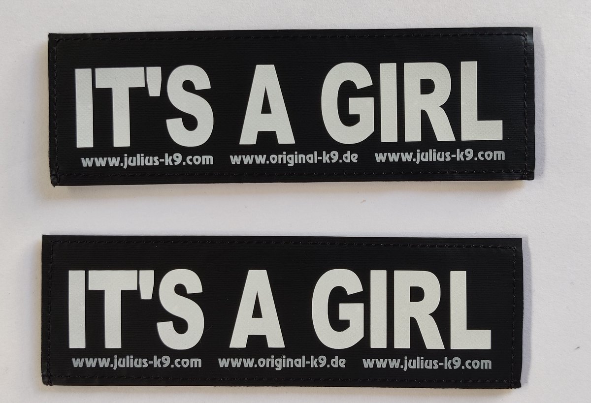 Set Labels voor Powerharness - Large tekst: IT'S A GIRL