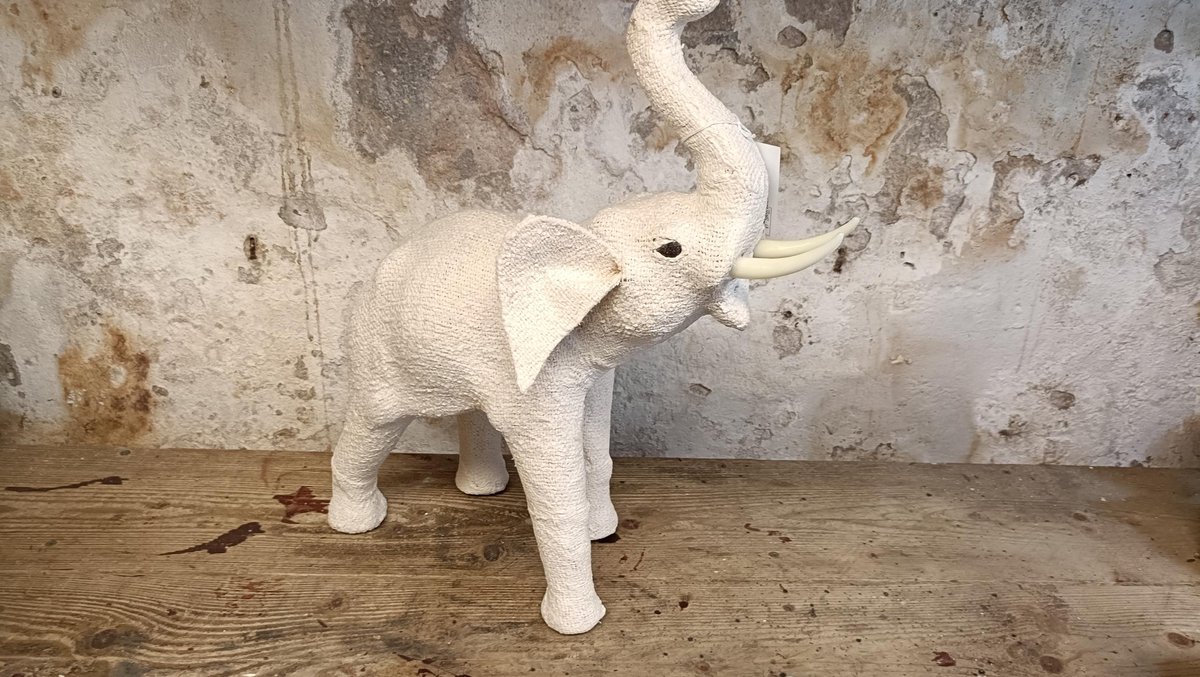 Olifant wit linnen.