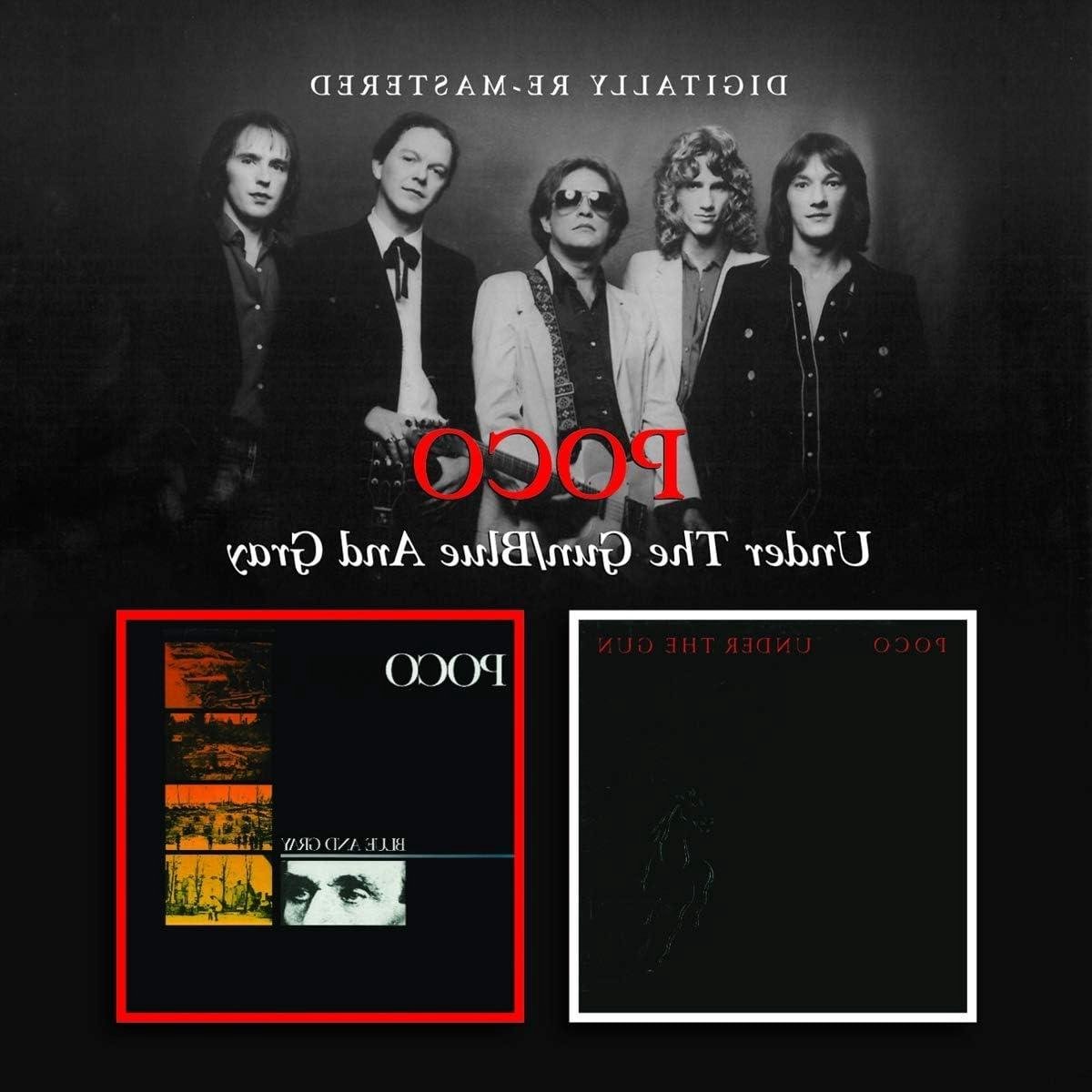 Muziekalbum - Rock CD - Muziek Luisteren - Twee Top 20 Albums - 1 Schijfje - Blauw Grijs