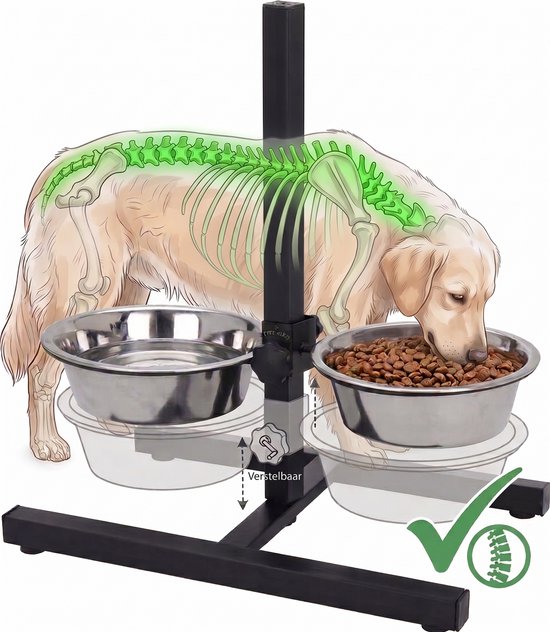 Illustration d'un chien avec une colonne vertébrale marquée en vert, mangeant dans des gamelles surélevées.