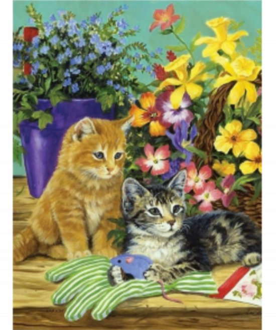 Deux adorables chatons, un roux et un tigré, assis sur un fond en bois avec des fleurs et une souris jouet.