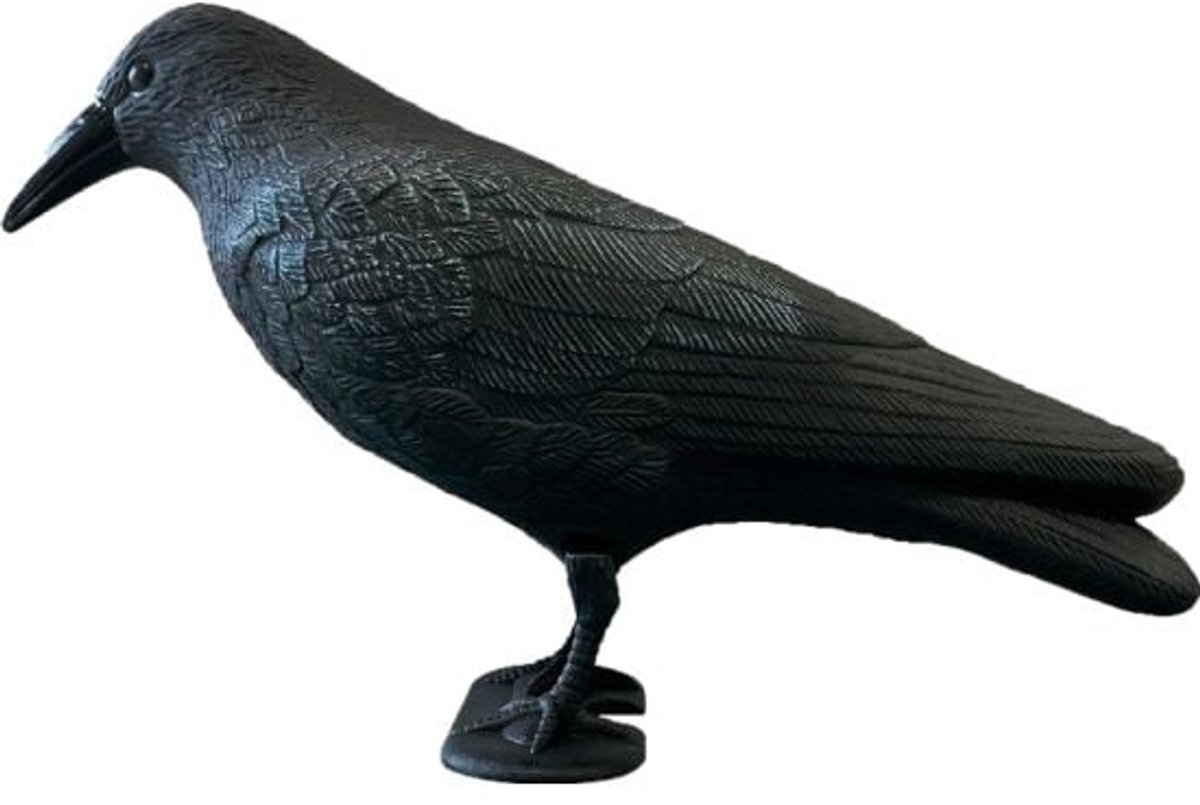 SuperFish Deco Vogel Kraai