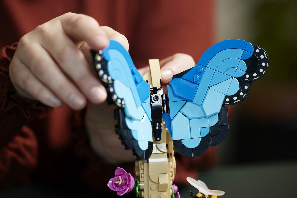 LEGO Ideas De Insectencollectie - 21342 — afbeelding 14