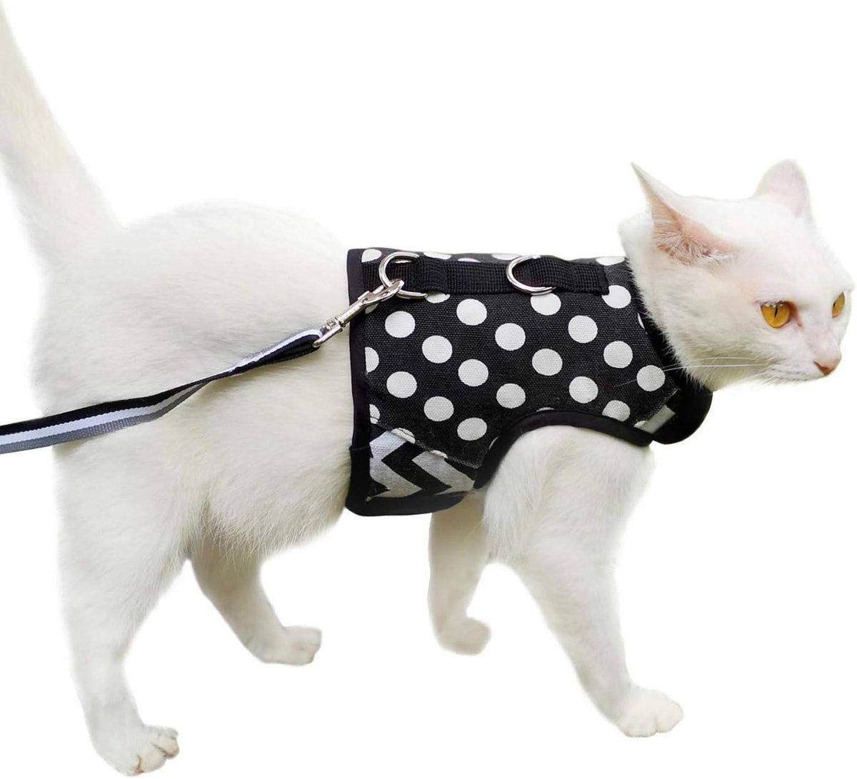 Kattenharnas en Riem - Wandelharnas Kat - Buiten Wandelen - Ontsnappingsbestendig Ontwerp - XXL - Zwart Gestipt