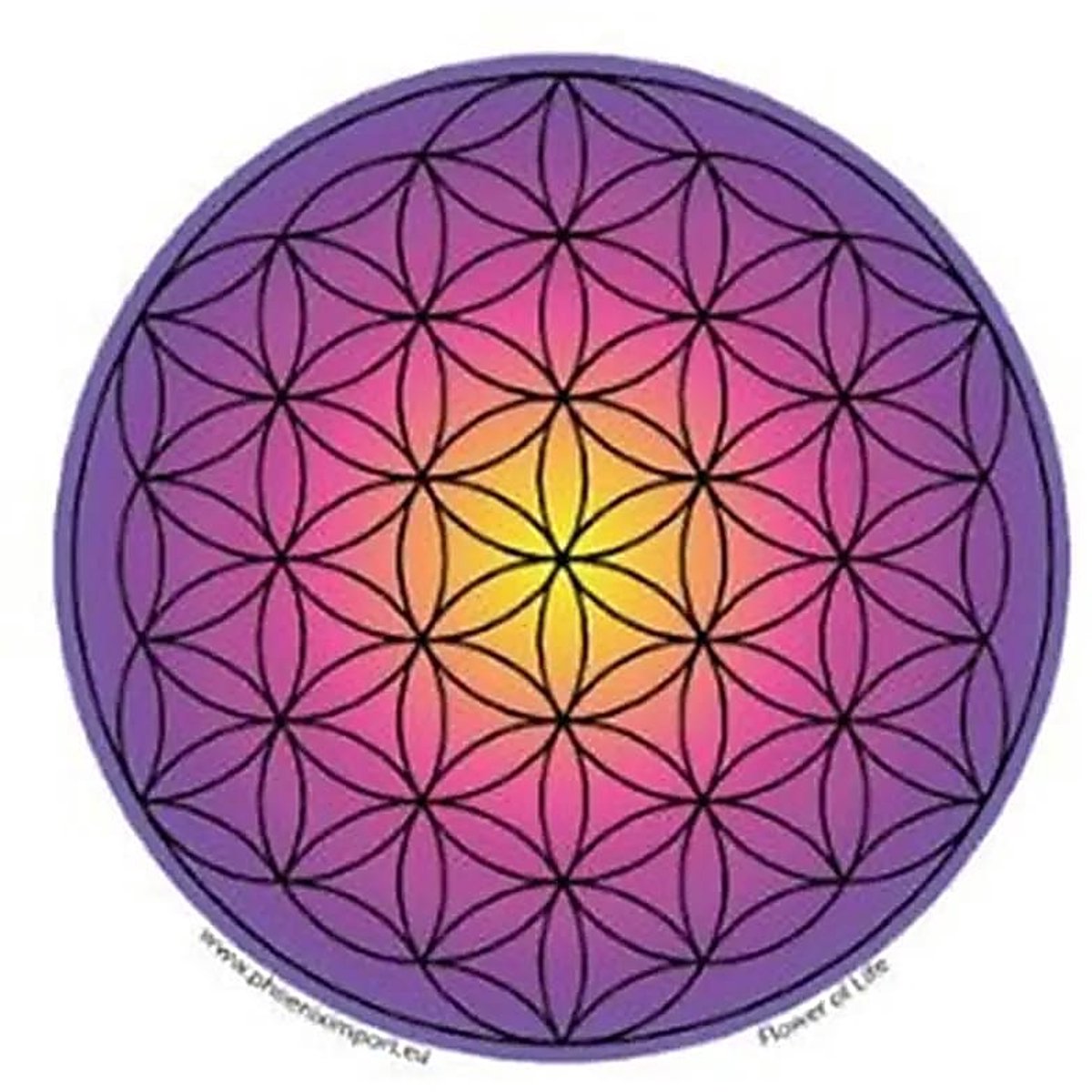 Raamsticker Flower of Life