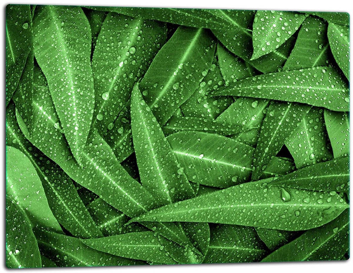 TMK ArtDeko - Snijplank - Glas - 52x40 cm - Groen