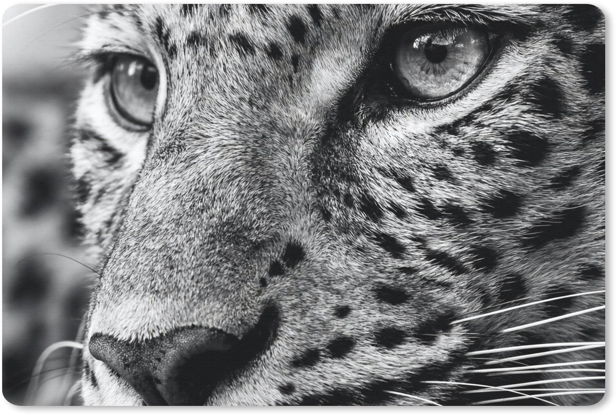 Muismat 13x8 cm - Mousepad Luipaard - Zwart - Wit - Oog - Muismatten