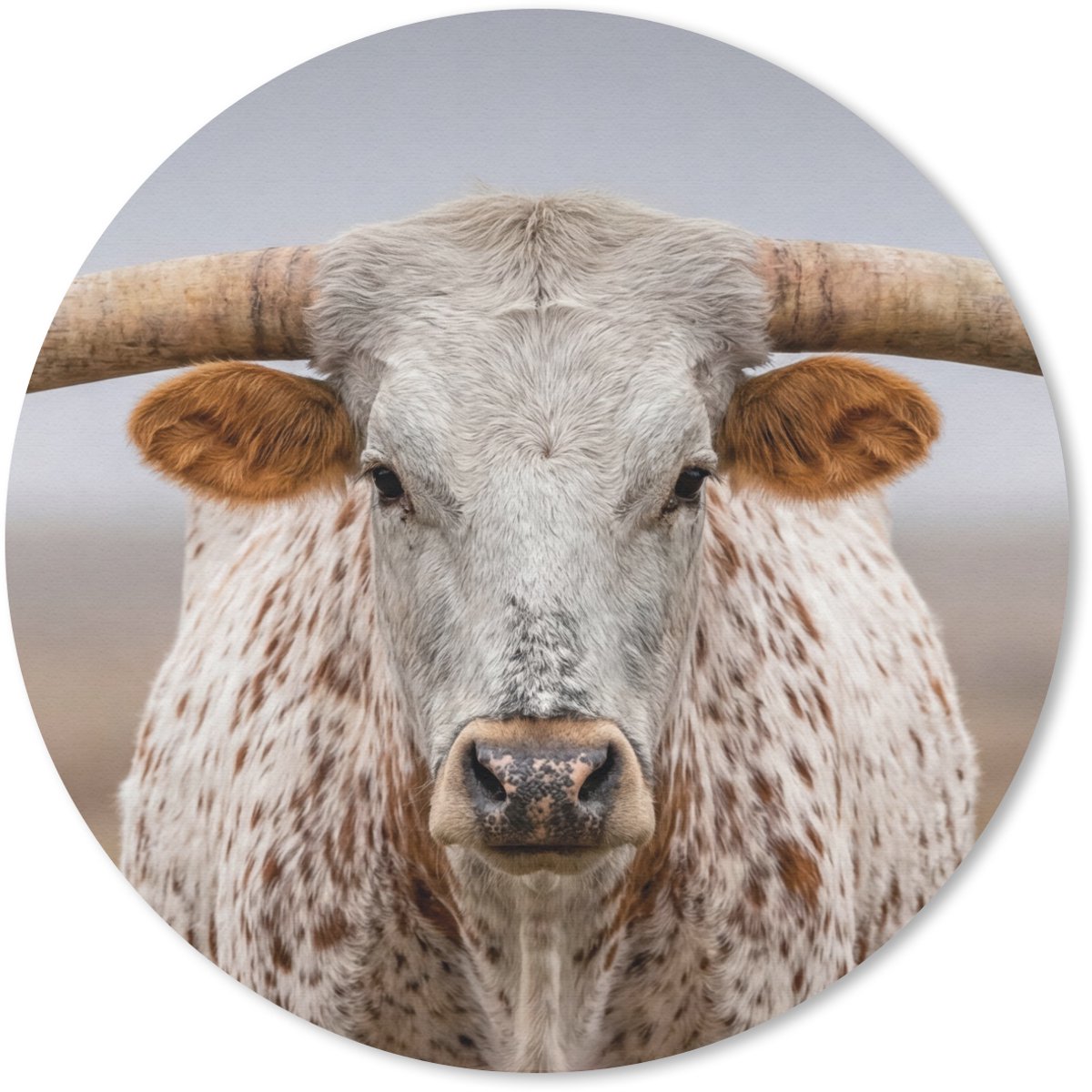 Muismat rond 40x40 cm - Mousepad Longhorn - Grasveld - Dier - Ronde muismatten