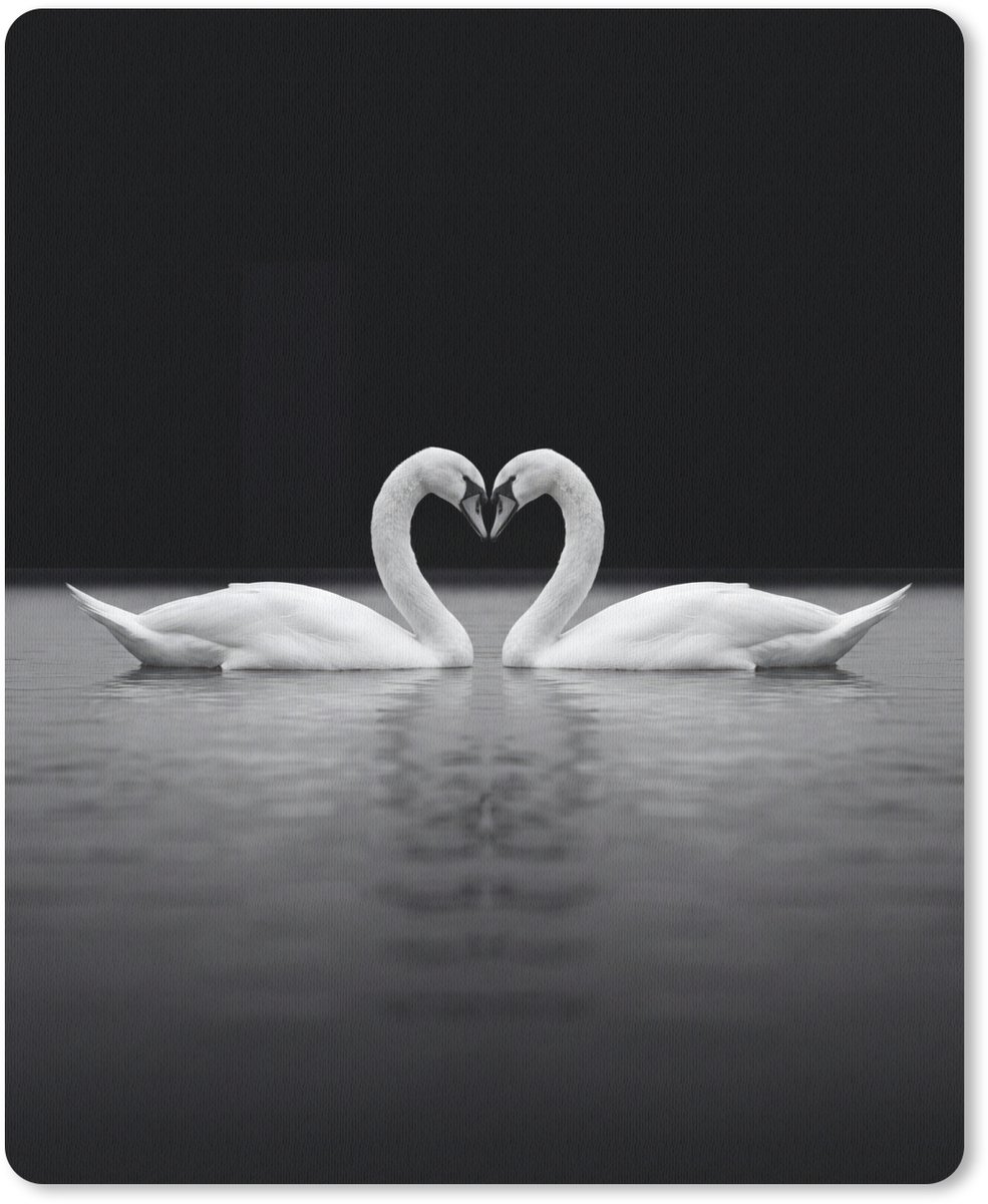 Muismat 12x16 cm - Mousepad Zwanen - Hart - Zwart - Wit - Muismatten