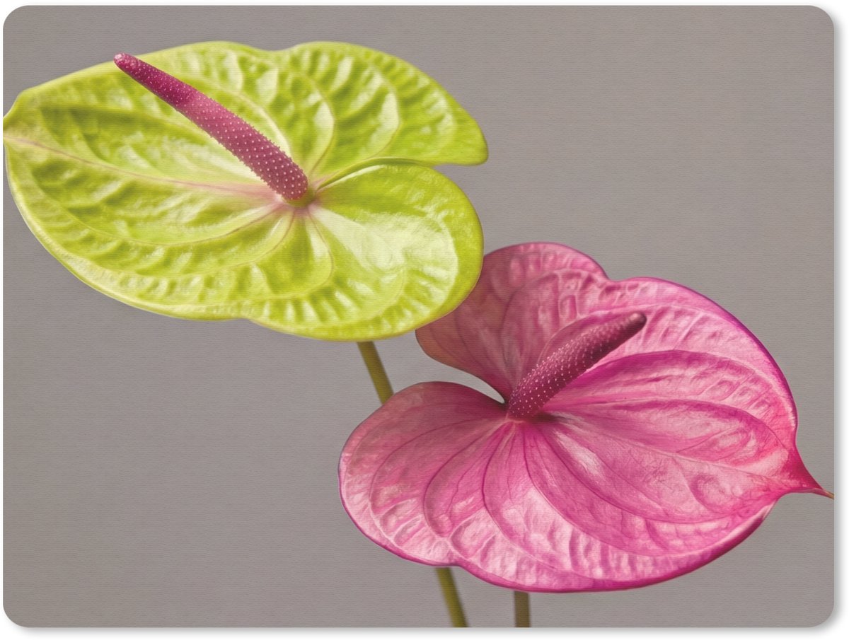 Muismat 12x10 cm - Mousepad Planten - Anthurium - Groen - Roze - Muismatten