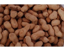 Wielink Pinda’s in dop 500 gram
