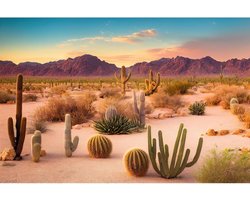 Aquarium Achtergrond - Terrarium Decoratie - Habitat Verfraaien - Realistisch Landschap - 91 x 46 cm - Woestijn
