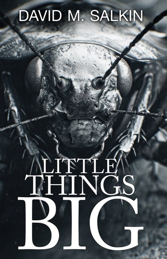Little Things Big - cover