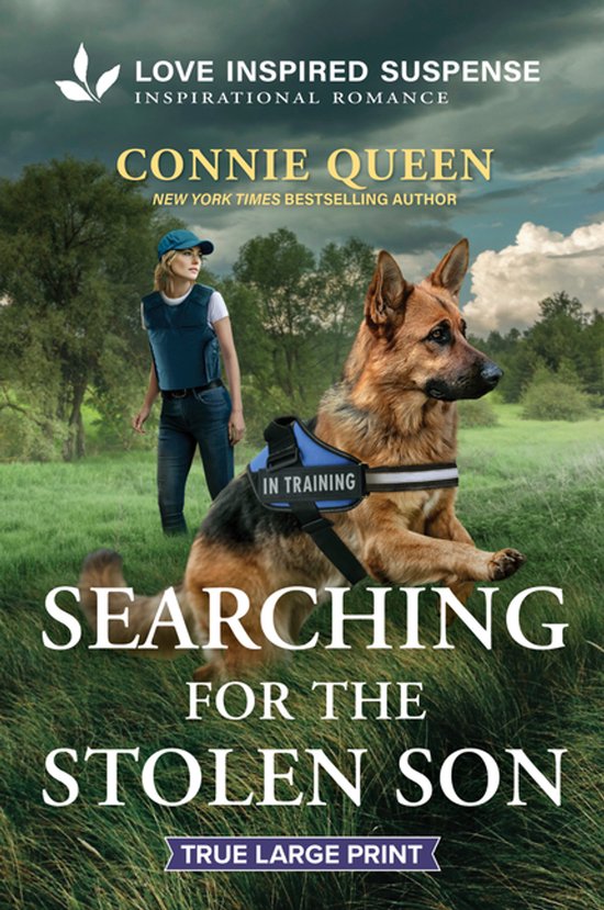 Thunder Ridge Justice- Searching for the Stolen Son - cover