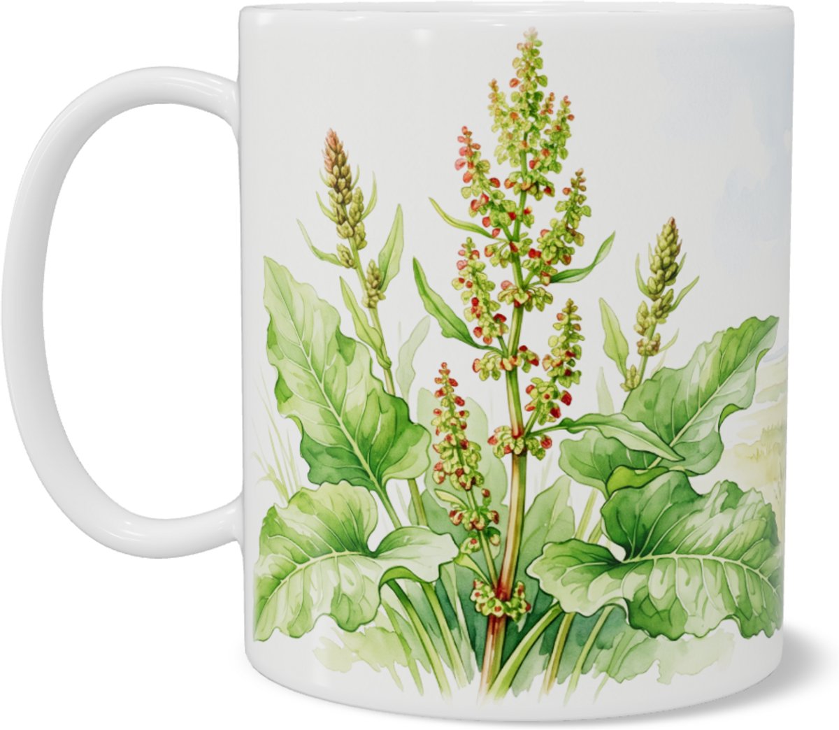 Mok met ridderzuring illustratie - Rumex obtusifolius - Botanische mok