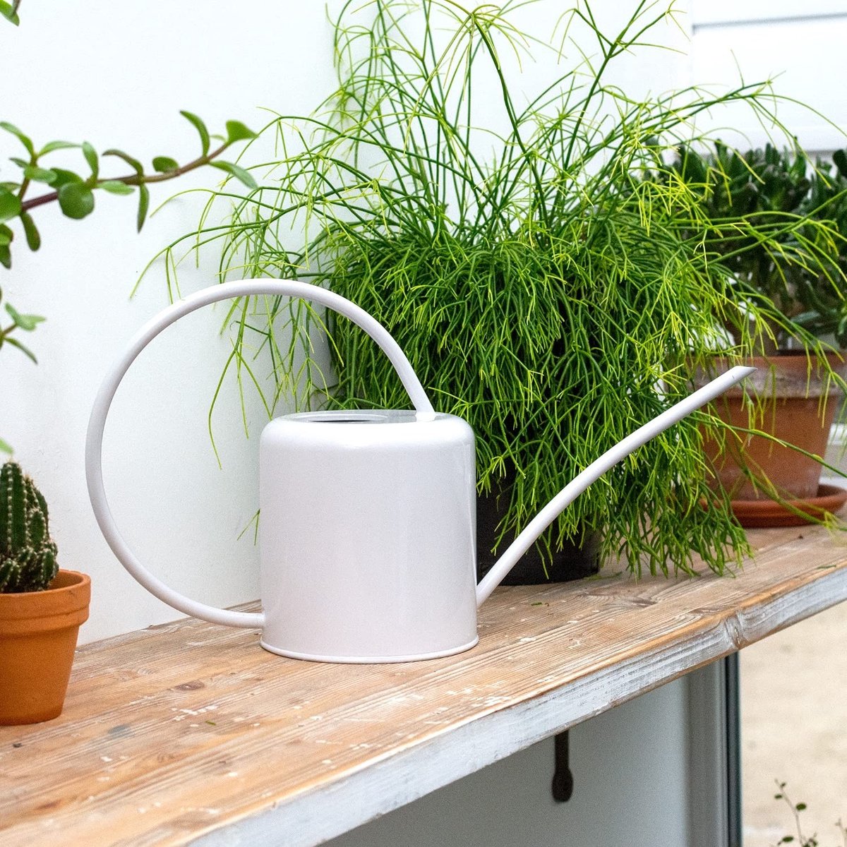 Dailygoods - Cosensi - Dailygoods - Dailygoody - Binnengietkan - Gieters voor binnen - Hoge handgreep - Witte krijt - Perfect voor kamerplanten - Gekleurde verzinkte staal