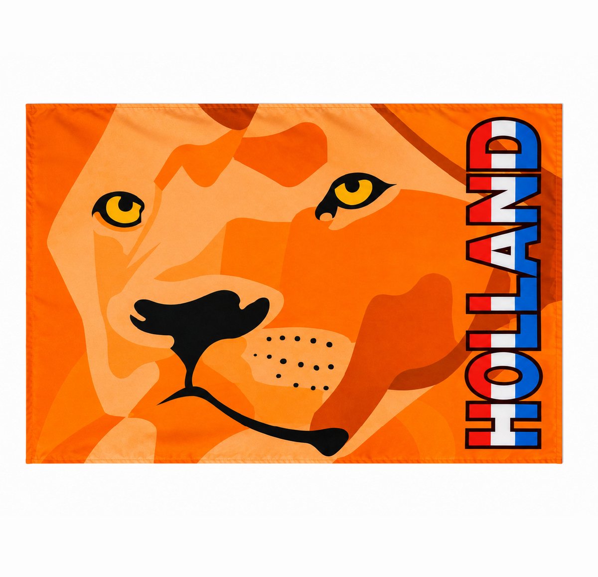 Hup Holland vlag 100 x 70cm | Nederland - EK - WK