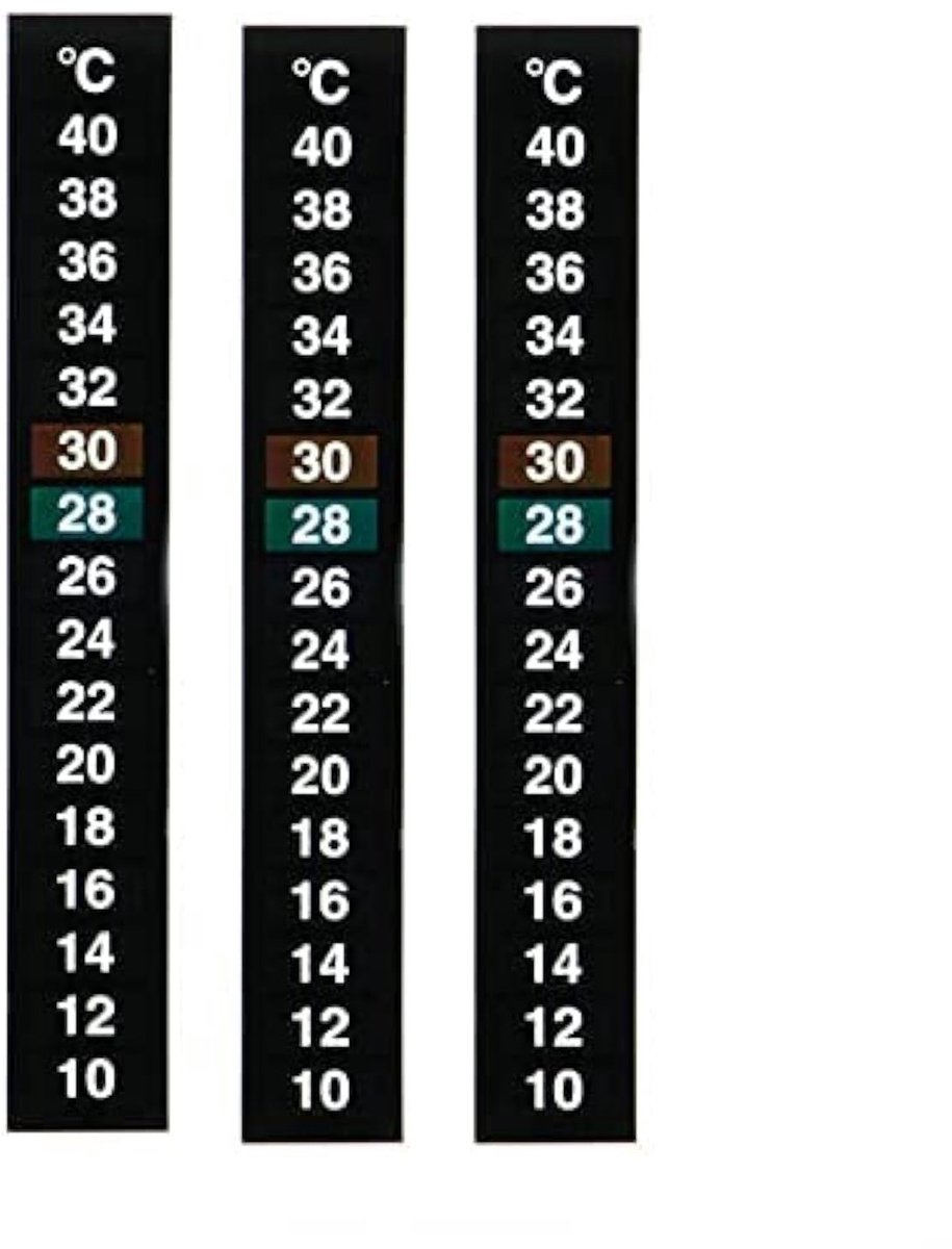 Dailygoods - Dailygoody - Aquarium Thermometer Strip - Digitale Temperatuur Sticker - 3 Stuks - Geschikt voor Vissen - Nauwkeurige Temperatuurweergave - Handig en .