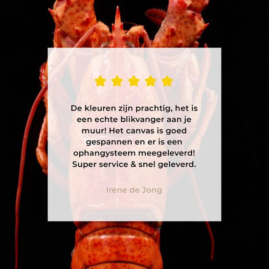 Homard cuit à la vapeur sur une toile de fond noir 2cm 30x40 cm - petit - Tirage photo sur toile (Décoration murale salon / chambre) / Animaux sauvages Peintures sur toile