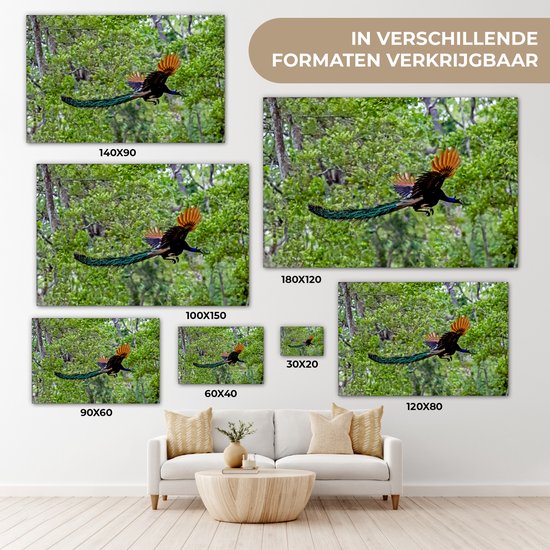 Paon coloré vole à travers les bois Toile 180x120 cm - Tirage photo sur toile (Décoration murale salon / chambre) XXL / Groot format!