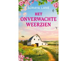 Het onverwachte weerzien