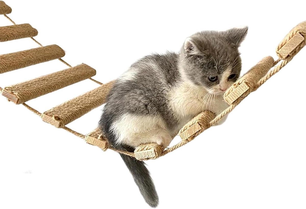Kattenladder - Klimmeubel - Interactieve Omgeving - Tip-resistent - 100 cm - Meerkleurig