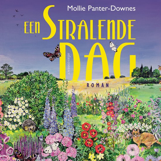 Een stralende dag - cover